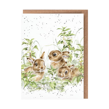 Card acs215 Spring Hares 3 Bunnies 