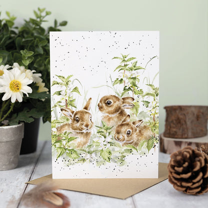 Card acs215 Spring Hares 3 Bunnies 