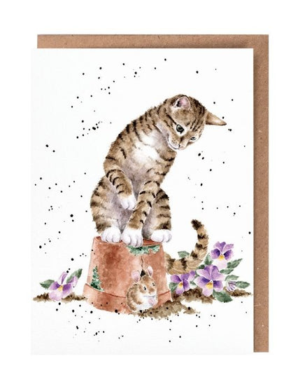 Card Acs223 Hide And Squeak The Country Set Blank Inside 