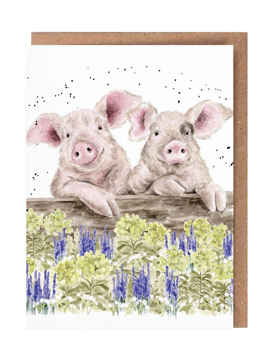 Card Acs225 Nosey Neigh-boars The Country Set Blank Inside 