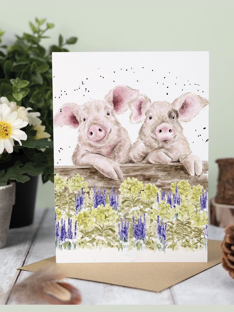 Card Acs225 Nosey Neigh-boars The Country Set Blank Inside 