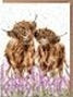 Card Acs227 Gentle Giants Highland Cows