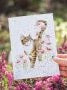 Card ACS236 Harmony Cat&nbsp;

5"x 7"