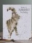 Card Aoc003 Just Purrfect Cat