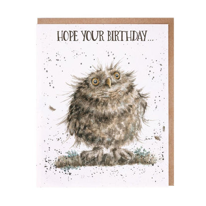 Card Aoc069 You're A Hoot Owl 