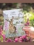 Card Aoc245 Birthday The Wild Garden Hare