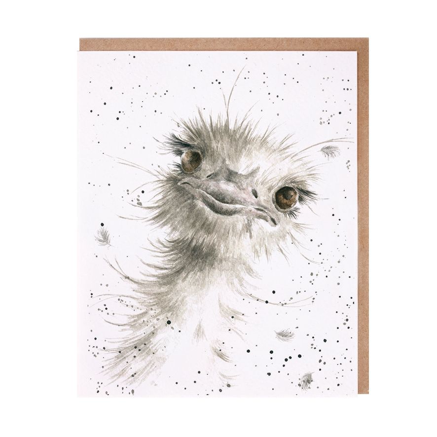 Card Az004 Hello Boys Ostrich Blank Inside 