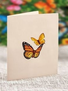 Flower's Boutique Paper Cards Pop Up 6"Mini Butterflies  Buttercups 7407