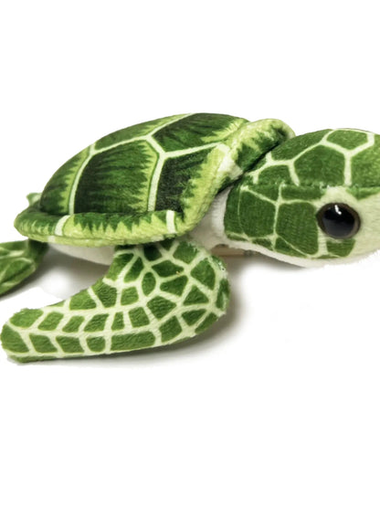 Sea Turtle Hatchling Egg   CACHA413P