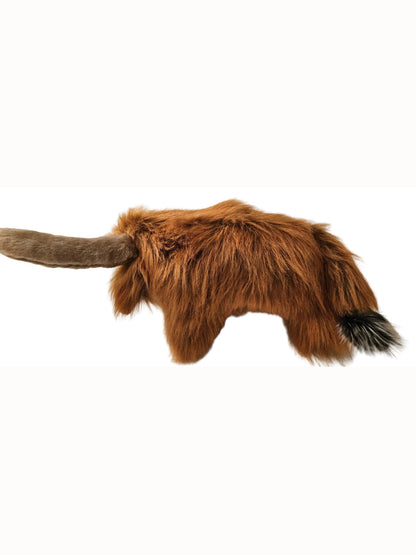 highland cow