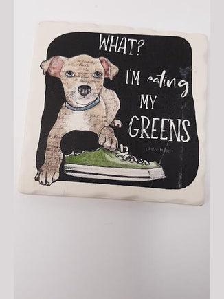 Naughty Pets -What Happened-Coaster-02-01992 