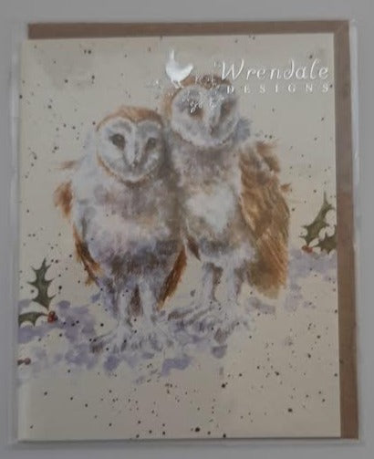 White Christmas Owl-Gift Enclosure Card 