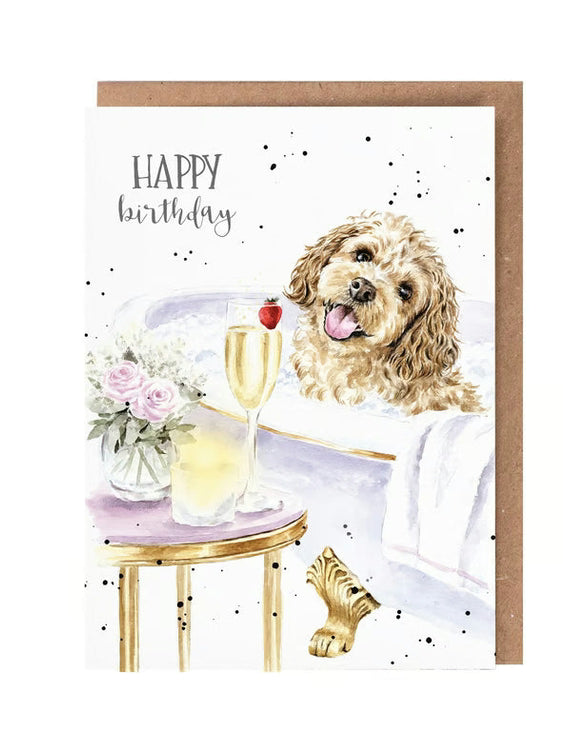Card Aoc249 Birthday Pampered Pup