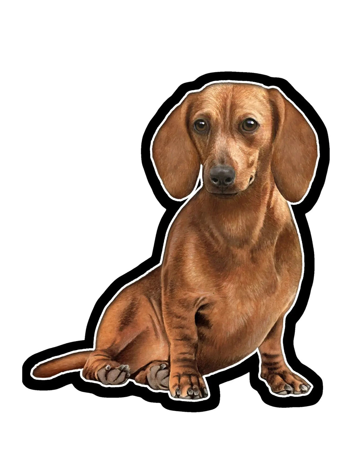 Vinyl Sticker&nbsp; Dachshund Red Dog 788-13