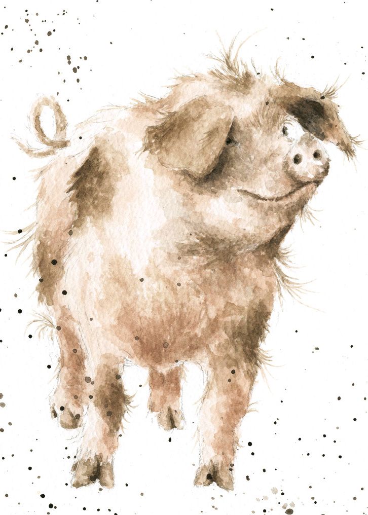 Card - ACS061 - Trotters Pig 