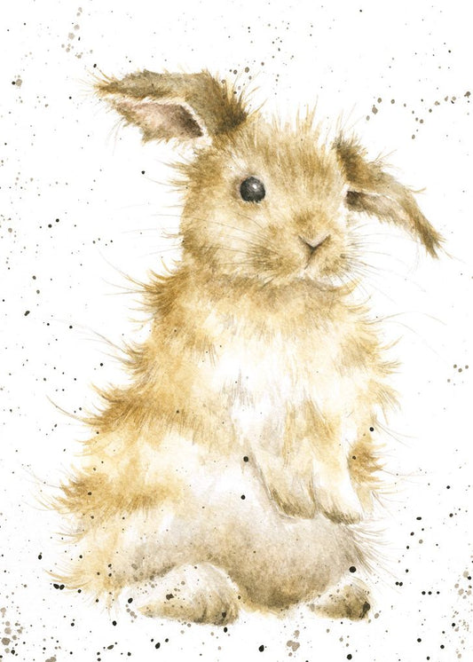 Card - ACS042 - Bunny 