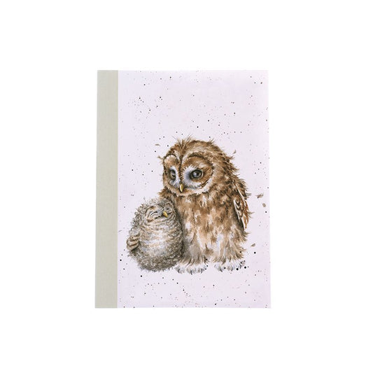 Notebooks (Small) - N042 - Wise Thoughts - Owl 