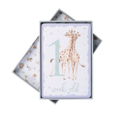 Baby's First Year - Milestone Cards - LTW- MC001 