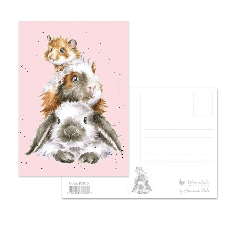 Wrendale-Post Card Piggy In The Middle Pink 4x6" Pc010