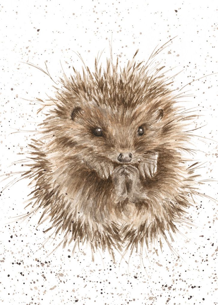 Card - ACS028 - Awakening Hedgehog 