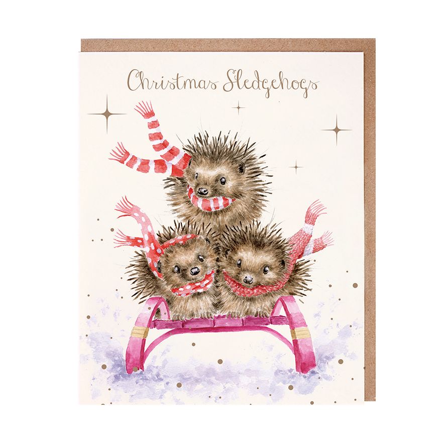 Christmas Cards - 8 Pack - Christmas Sled with Hedgehogs - Sledghogs 