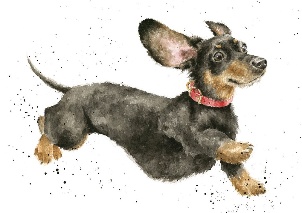 Card - ACS142 -That Friday Feeling  Dachshund Dog - Blank Inside 