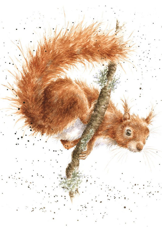 Card - ACS123 - The Acrobat Squirrel - Blank Inside 