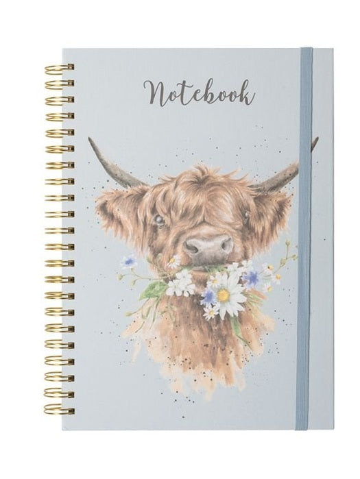 Spiral Notebook Daisy Coo Blue Lhb016 
