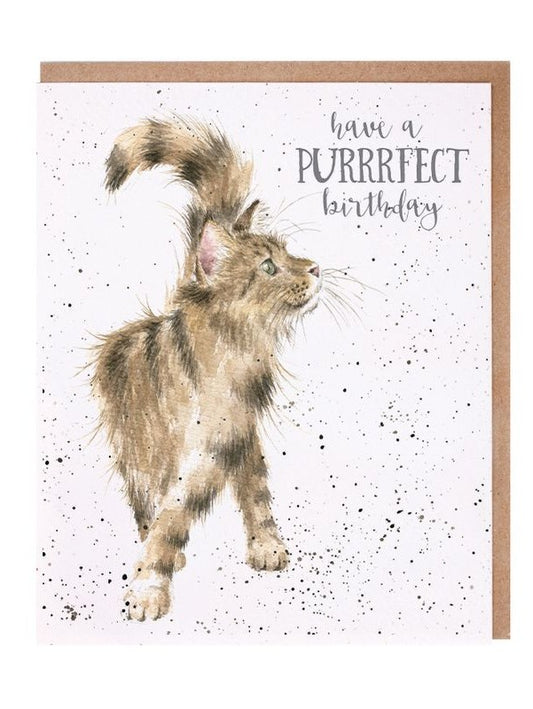 Card Aoc003 Just Purrfect Cat