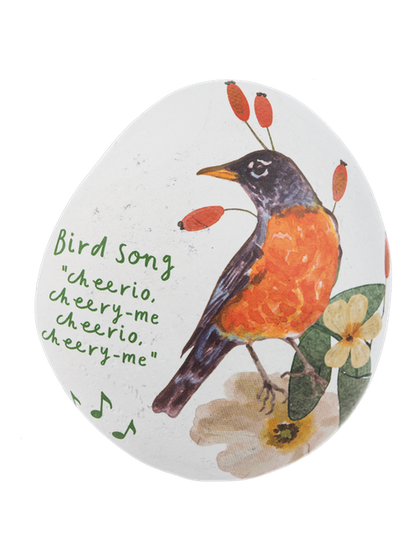 Charm Bird Song Art Rocks 4 Styles mg194976
