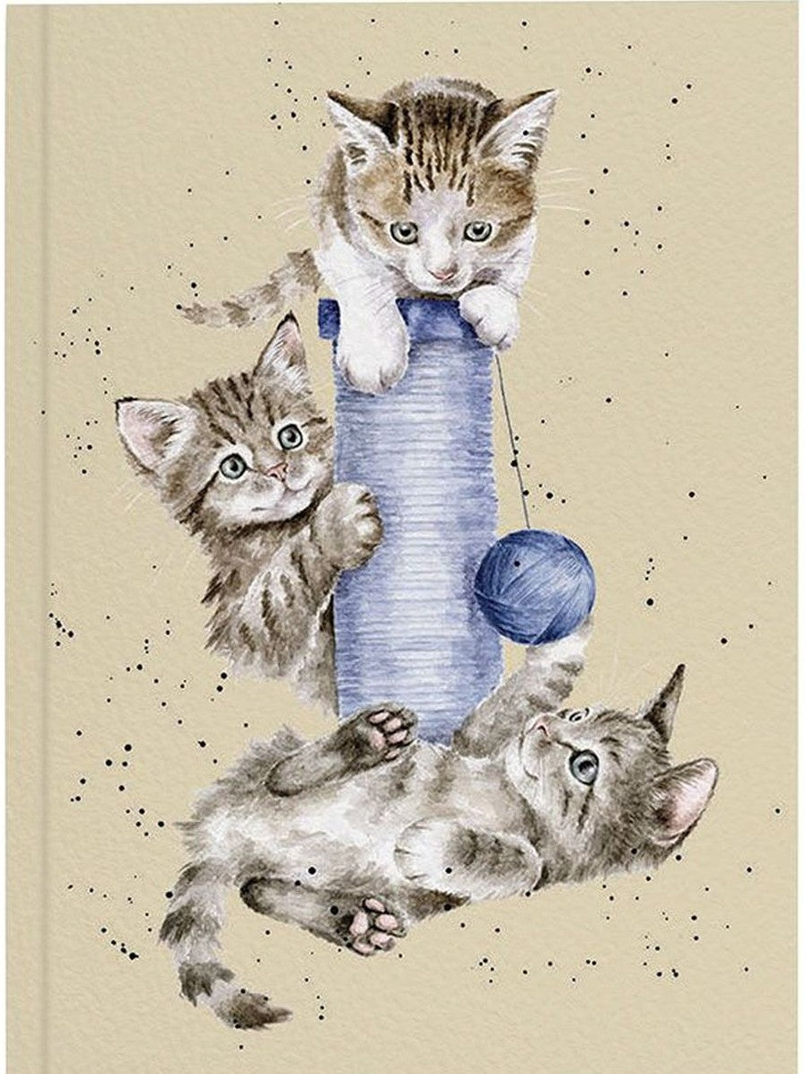 Notebook Soft Cover Lined Three's A Crowd n064