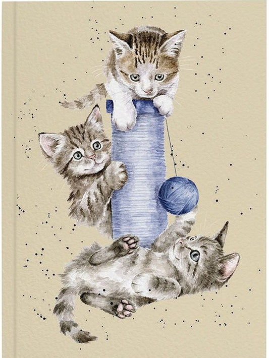 Notebook Soft Cover Lined Three's A Crowd n064