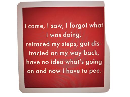 1082 - "I Came, I Saw"  Drinks On Me Coaster 