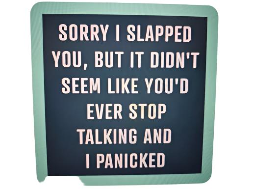 1180- "Sorry I Slapped You"  Drinks On Me Coaster 