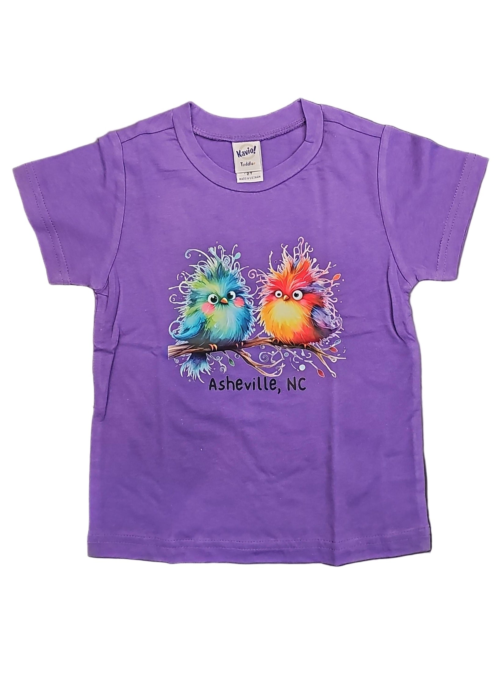 Tee Shirt Kids Asheville Logo Birds