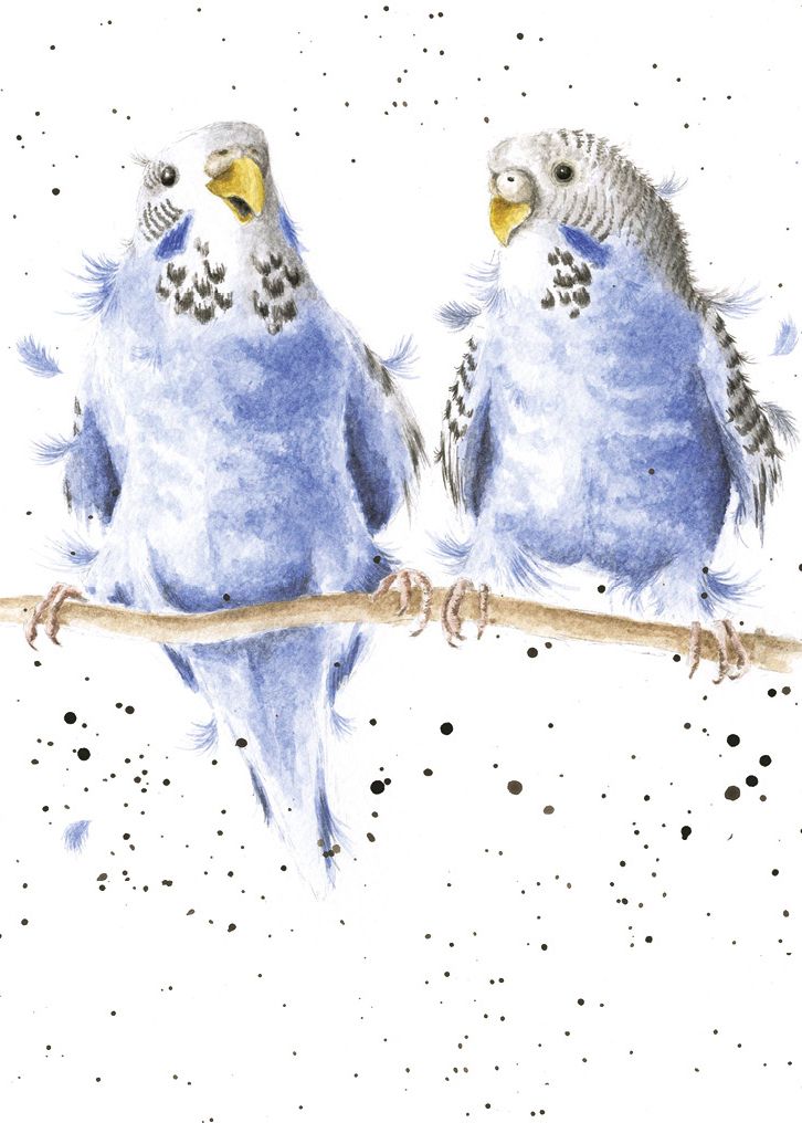 Card - AZ011 - Date Night - Birds Parakeet 