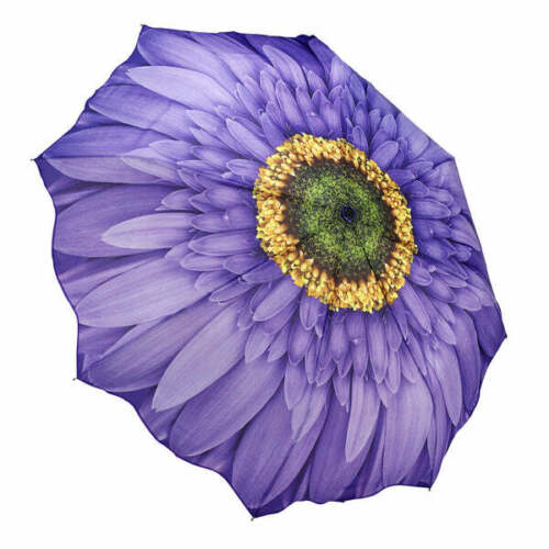 Umbrella - Folding -Wisteria Daisy-33029sc 