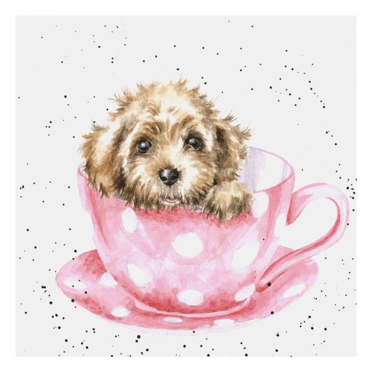 Card - ACS150  Teacup Puppy Dog Blank 