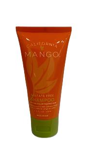 Shampoo Sulfate Free - safe for color treated hair -CMO2SP 