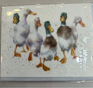 Gift Enclosure Card -GE057 - Quakers Duck 