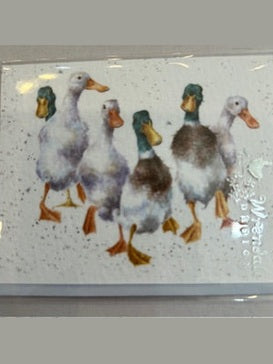 Gift Enclosure Card -GE057 - Quakers Duck 