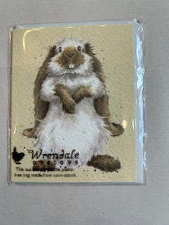 Gift Enclosure Card -GE099 - Bunny 