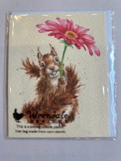 Gift Enclosure Card -GE104 - Squirrel 