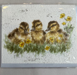 Gift Enclosure Card -GE055 - Chicks 