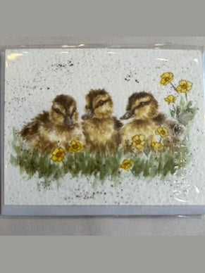 Gift Enclosure Card -GE055 - Chicks 