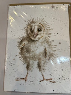 Card - ACS084 Owl - Owl - Blank Inside 