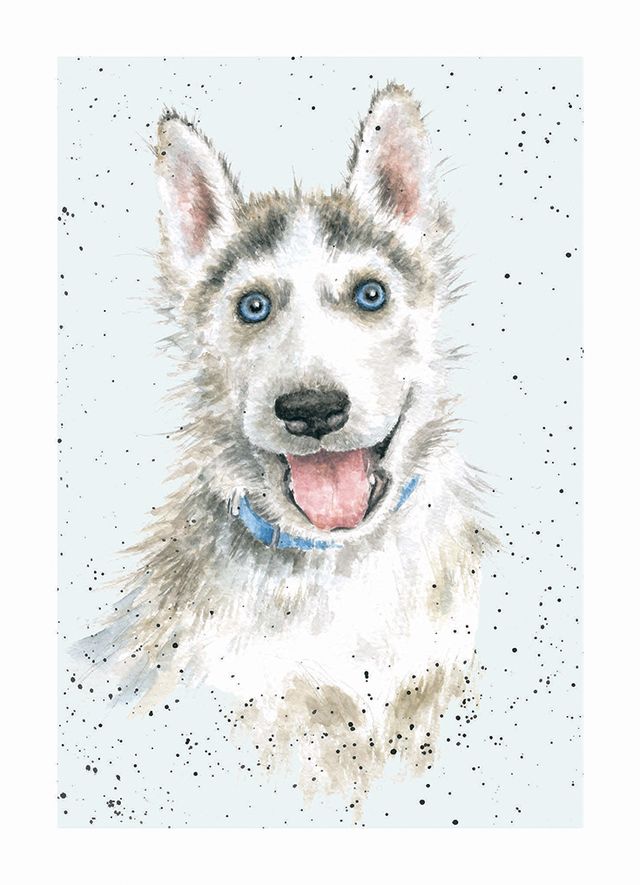 Card - ADR035 - Husky - Dog 