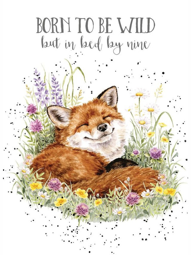Card Aoc250 Birthday Serenity Fox