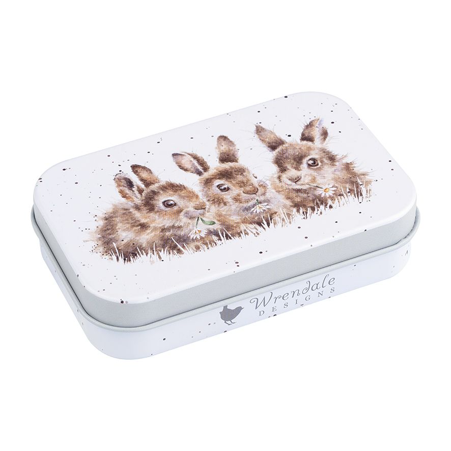 Keepsake Gift Tins - MT002 - Daisy Chain Bunny 