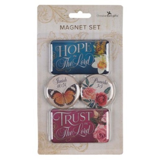 Magnet Sets 